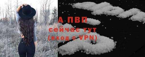 гашик Коряжма