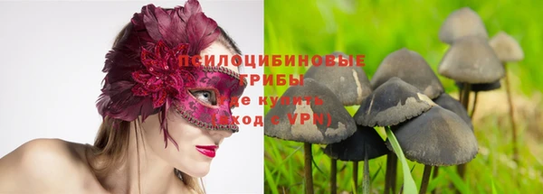 гашик Коряжма