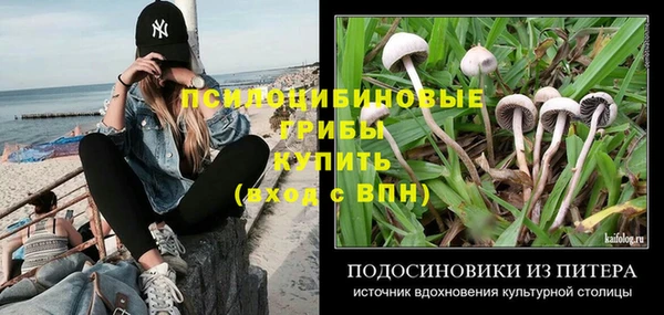 стаф Костерёво