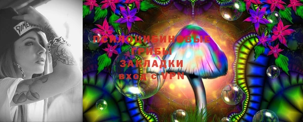 сатива Нягань