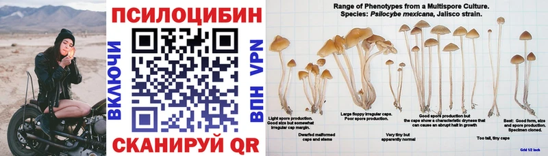 Галлюциногенные грибы мицелий  Нижний Новгород 