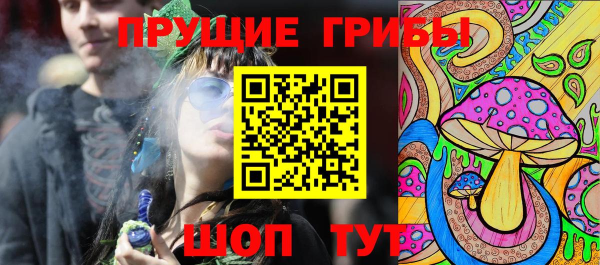 Псилоцибиновые грибы GOLDEN TEACHER  наркота  Нижний Новгород 