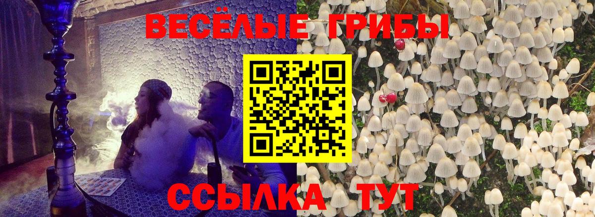 Нижний Новгород  Галлюциногенные грибы мухоморы  Вход с VPN 