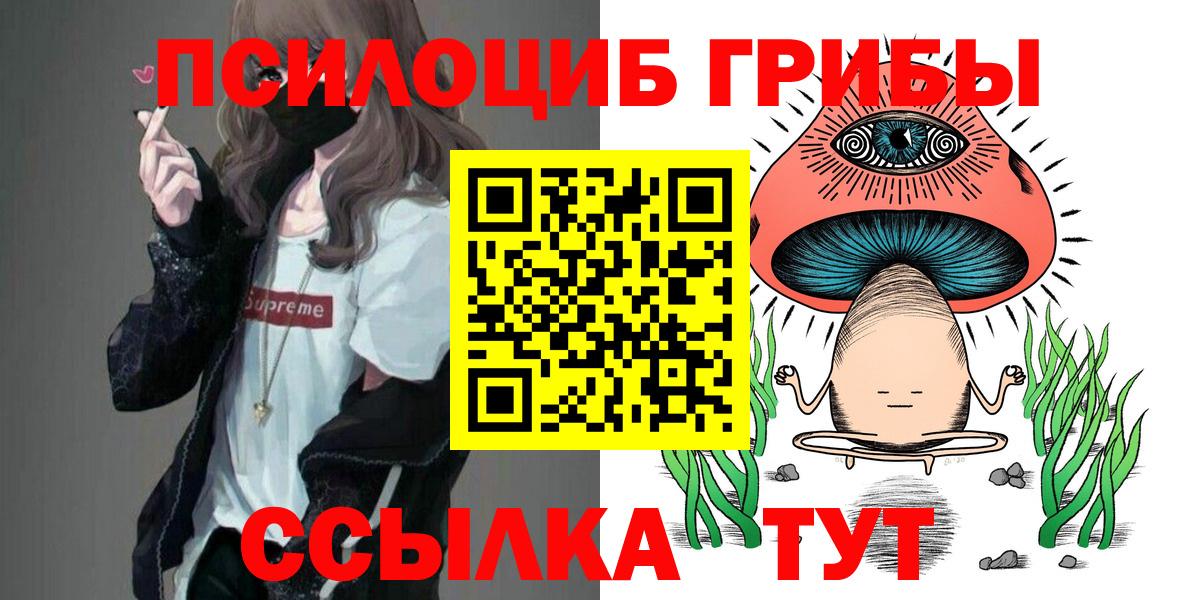 Галлюциногенные грибы Psilocybe Нижний Новгород