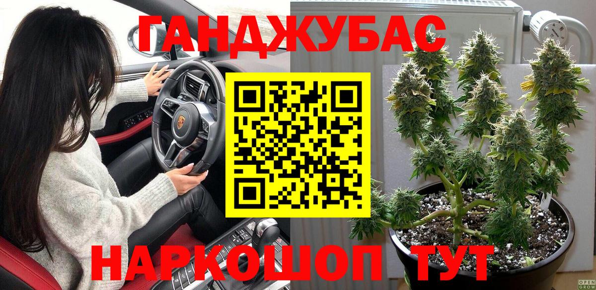Бошки Шишки Нижний Новгород